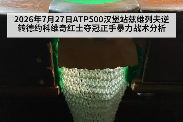 2026年7月27日ATP500汉堡站兹维列夫逆转德约科维奇红土夺冠正手暴力战术分析