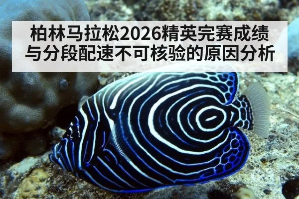 柏林马拉松2026精英完赛成绩与分段配速不可核验的原因分析