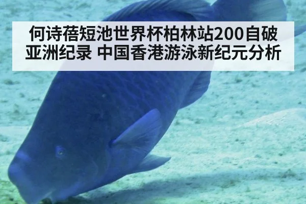 何诗蓓短池世界杯柏林站200自破亚洲纪录 中国香港游泳新纪元分析